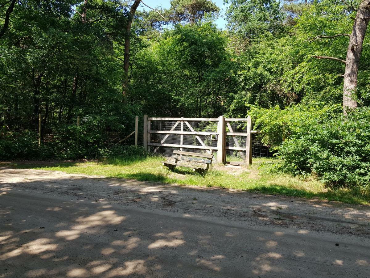 Knusse Natuur Bungalow Hartje Veluwe Otterlo Exterior foto